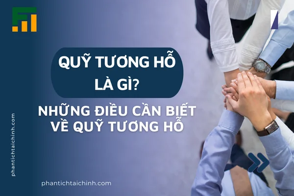 Quỹ Tương Hỗ Là Gì? Những Điều Cần Biết Về Quỹ Tương Hỗ