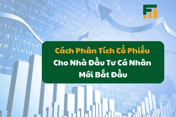 Cách Phân Tích Cổ Phiếu Cho Nhà Đầu Tư Cá Nhân Mới Bắt Đầu