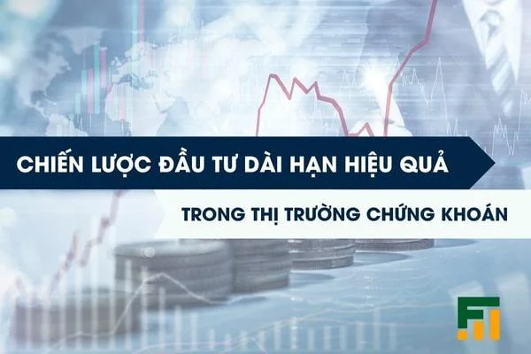 Chiến Lược Đầu Tư Dài Hạn Hiệu Quả Trong Thị Trường Chứng Khoán