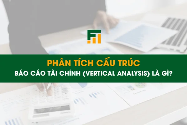 Phân Tích Cấu Trúc Báo Cáo Tài Chính (Vertical Analysis) Là Gì?