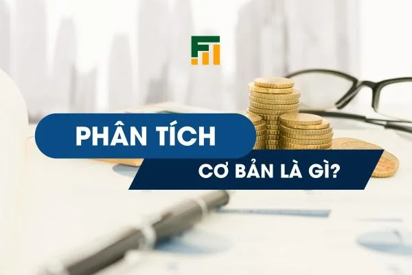 Phân Tích Cơ Bản Là Gì? Các Bước Thực Hiện và Ví Dụ Thực Tế