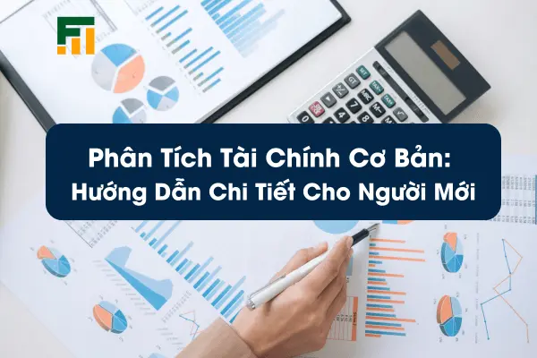 Phân Tích Tài Chính Cơ Bản: Hướng Dẫn Chi Tiết Cho Người Mới