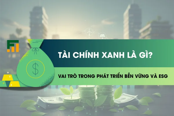 Tài Chính Xanh Là Gì? Vai Trò Trong Phát Triển Bền Vững Và ESG