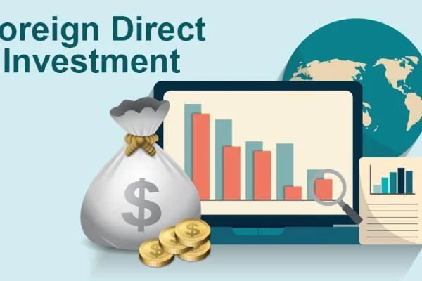 FDI là gì? Vai trò của FDI? Đặc điểm của doanh nghiệp FDI?