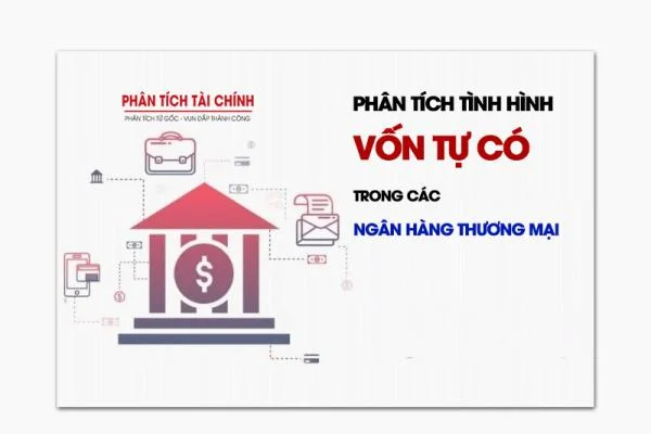 Phân tích tình hình vốn tự có trong các Ngân hàng thương mại