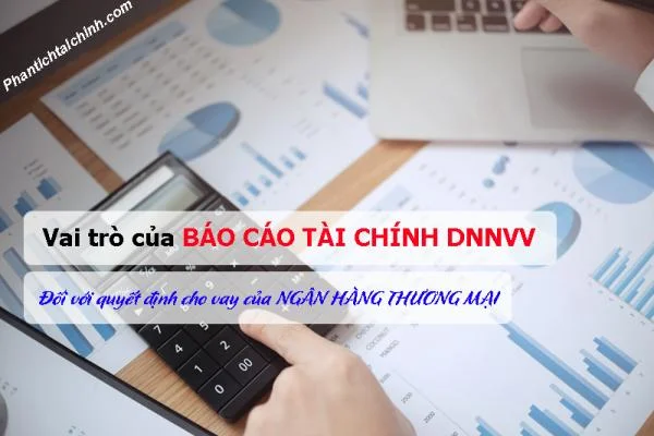 Vai trò của báo cáo tài chính DNNVV đối với quyết định cho vay của ngân hàng thương mại