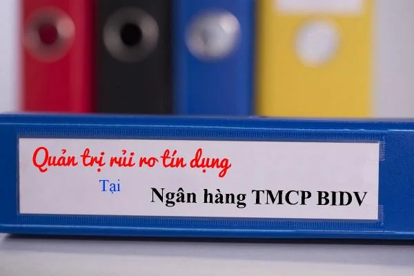 Quản trị rủi ro tín dụng tại Ngân hàng đầu tư và Phát triển Việt Nam