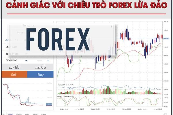 Cảnh giác với chiêu trò Forex lừa đảo