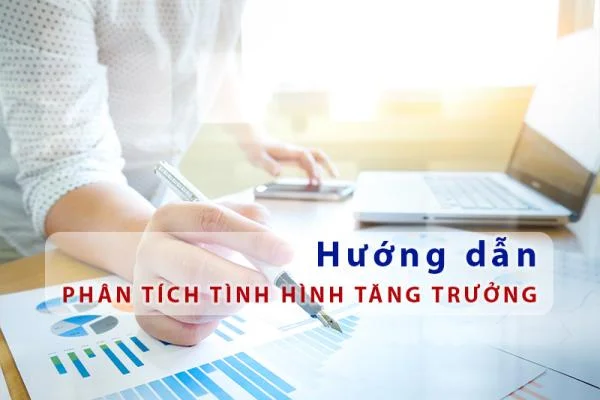 Phân tích tình hình tăng trưởng Công ty Cổ phần