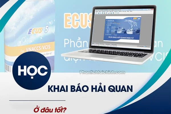 Học Khai Báo Hải Quan Ở Đâu Tốt?