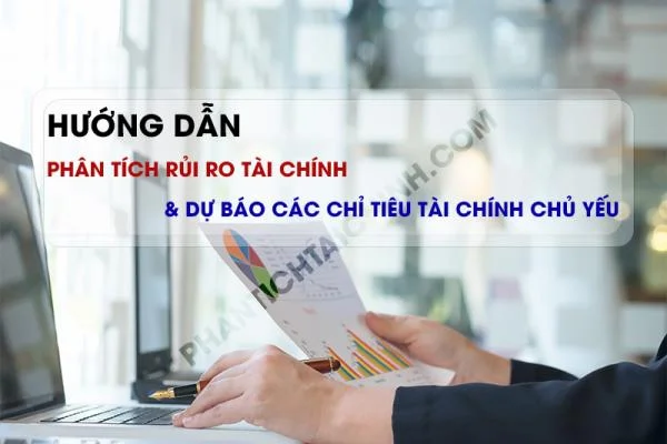 Hướng dẫn phân tích rủi ro tài chính và dự báo các chỉ tiêu tài chính chủ yếu