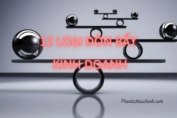 12 loại đòn bẩy bất biến trong kinh doanh