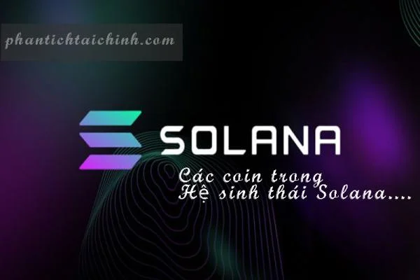 Solana Là Gì? Các Coin Trong Hệ Sinh Thái Solana