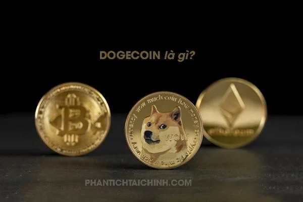 Dogecoin Là Gì? Những Thông Tin Cần Biết Về Đồng Dogecoin