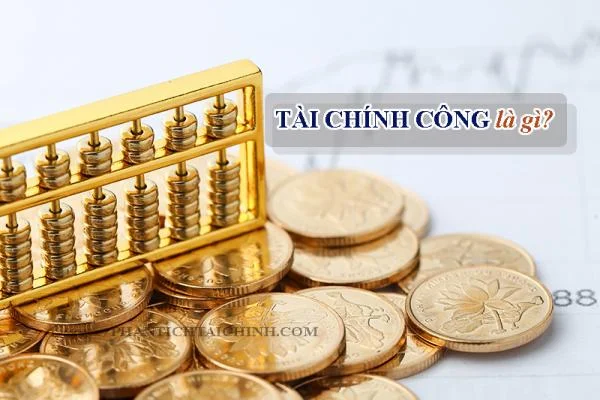 Tài Chính Công Là Gì? Đặc Điểm Mục Tiêu Của Tài Chính Công