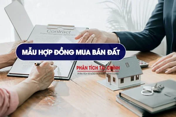 Mẫu Hợp Đồng Mua Bán Đất Chuẩn Và Cách Viết