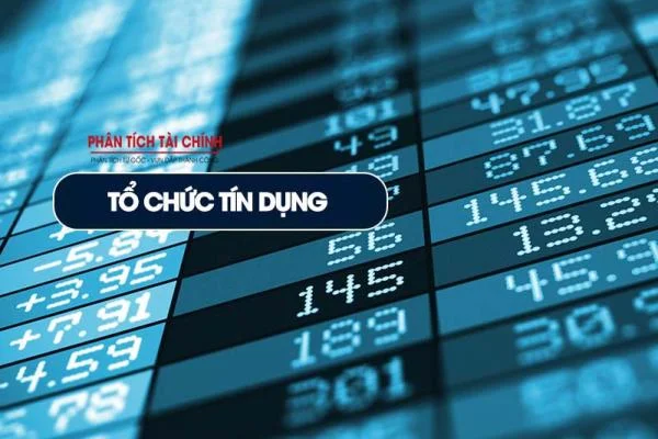 Tổ Chức Tín Dụng Là Gì? Các Loại Hình Tổ Chức Tín Dụng