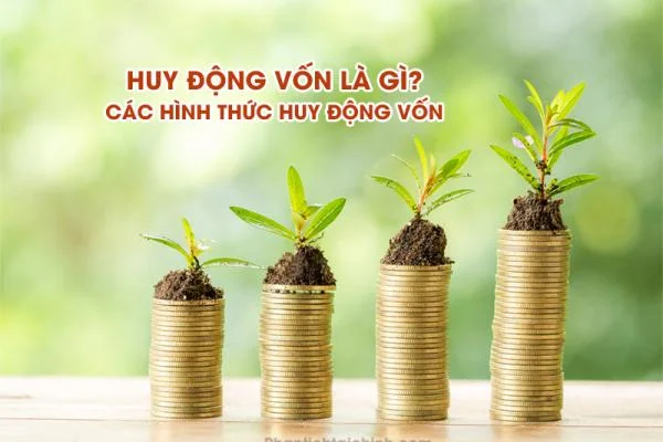 Huy Động Vốn Là Gì? Các Hình Thức Huy Động Vốn