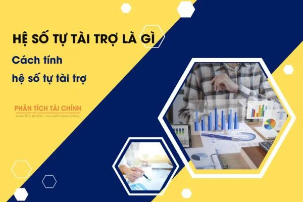 Hệ Số Tự Tài Trợ Là Gì? Cách Tính Hệ Số Tự Tài Trợ