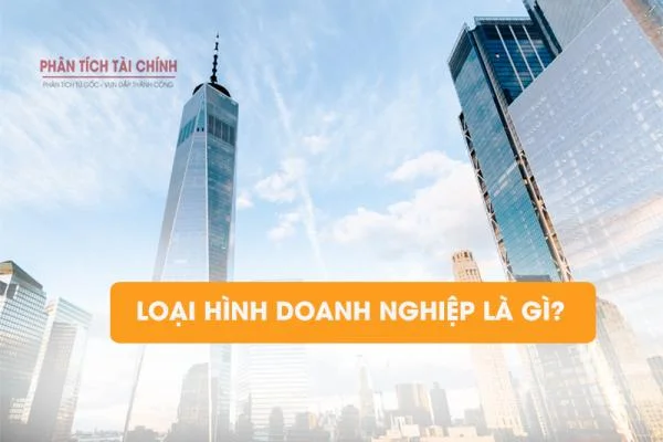 Loại Hình Doanh Nghiệp Là Gì? So Sánh Các Loại Hình Doanh Nghiệp