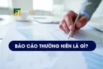 Báo Cáo Thường Niên Là Gì? Mẫu Báo Cáo Và Thông Tin Cần Biết