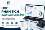 Học Phân Tích Báo Cáo Tài Chính: Lộ Trình Từ A-Z