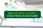 Các Hoạt Động Tài Chính Cơ Bản Trong Doanh Nghiệp