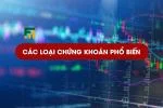 Các Loại Chứng Khoán Phổ Biến Và Cách Phân Biệt