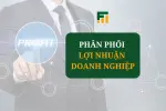 Phân Phối Lợi Nhuận Doanh Nghiệp: Nguyên Tắc Và Cách Thực Hiện