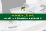 Phân Tích Cấu Trúc Báo Cáo Tài Chính (Vertical Analysis) Là Gì?