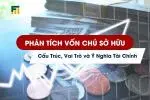 Phân Tích Vốn Chủ Sở Hữu: Cấu Trúc, Vai Trò và Ý Nghĩa Tài Chính