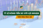 Tỷ Lệ Dòng Tiền So Với Lợi Nhuận: Cảnh Báo Gian Lận