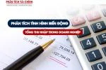 Phân tích tình hình biến động tổng thu nhập trong doanh nghiệp