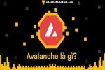 Avalanche Là Gì? Tổng Quan Về Hệ Sinh Thái Avalanche