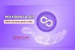 Polygon Là Gì? Tìm Hiểu Chi Tiết Về Đồng Polygon (MATIC Coin)