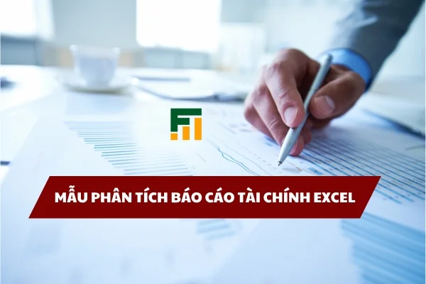 mau-phan-tich-bctc-excel1