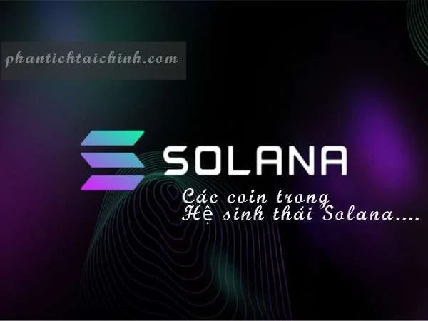 Solana Là Gì? Các Coin Trong Hệ Sinh Thái Solana
