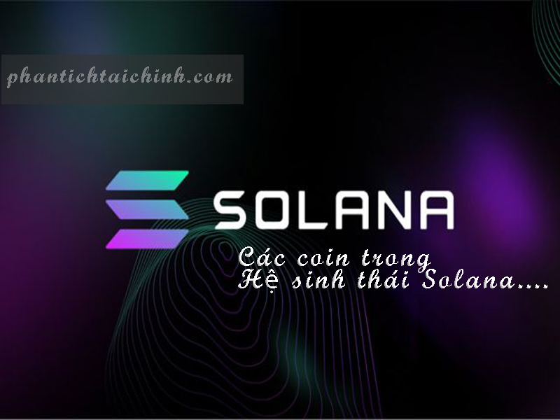 Solana Là Gì? Các Coin Trong Hệ Sinh Thái Solana