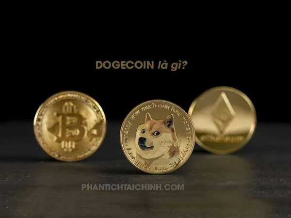 Dogecoin Là Gì? Những Thông Tin Cần Biết Về Đồng Dogecoin